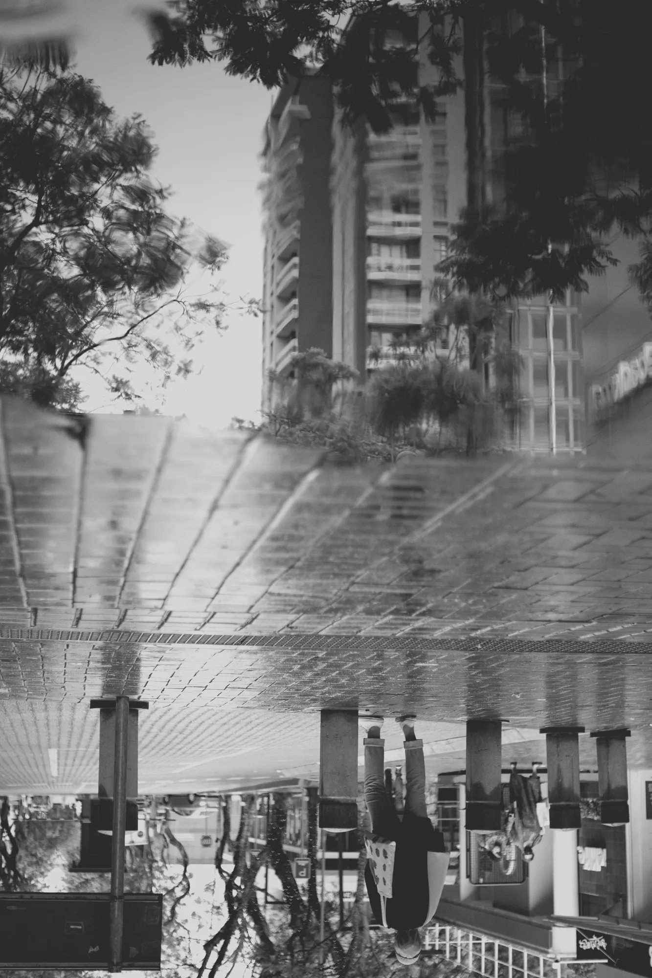 2021-12-19 - Rosebank, Johannesburg - Reflection of buildings in puddle