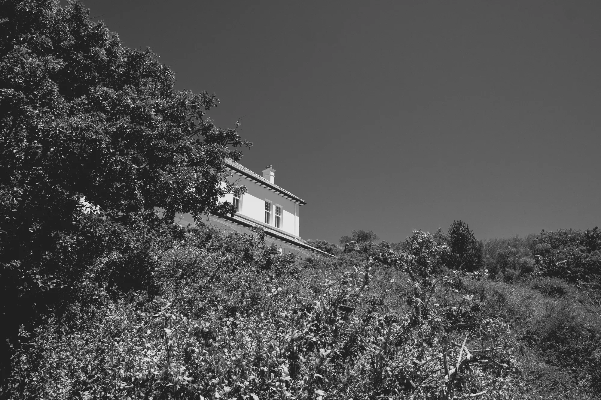 2022-02-14 - Cape Town - Building poking out from amongst the trees
