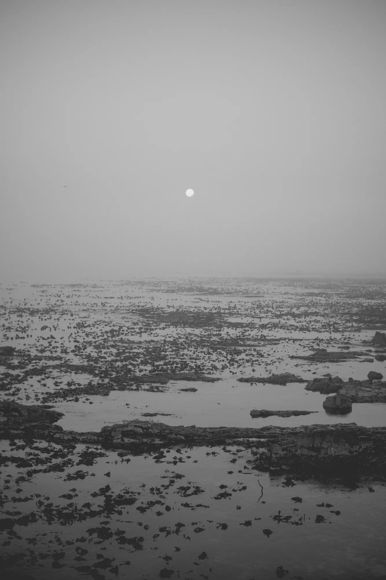 2022-02-15 - Cape Town - Moon over a rocky beach