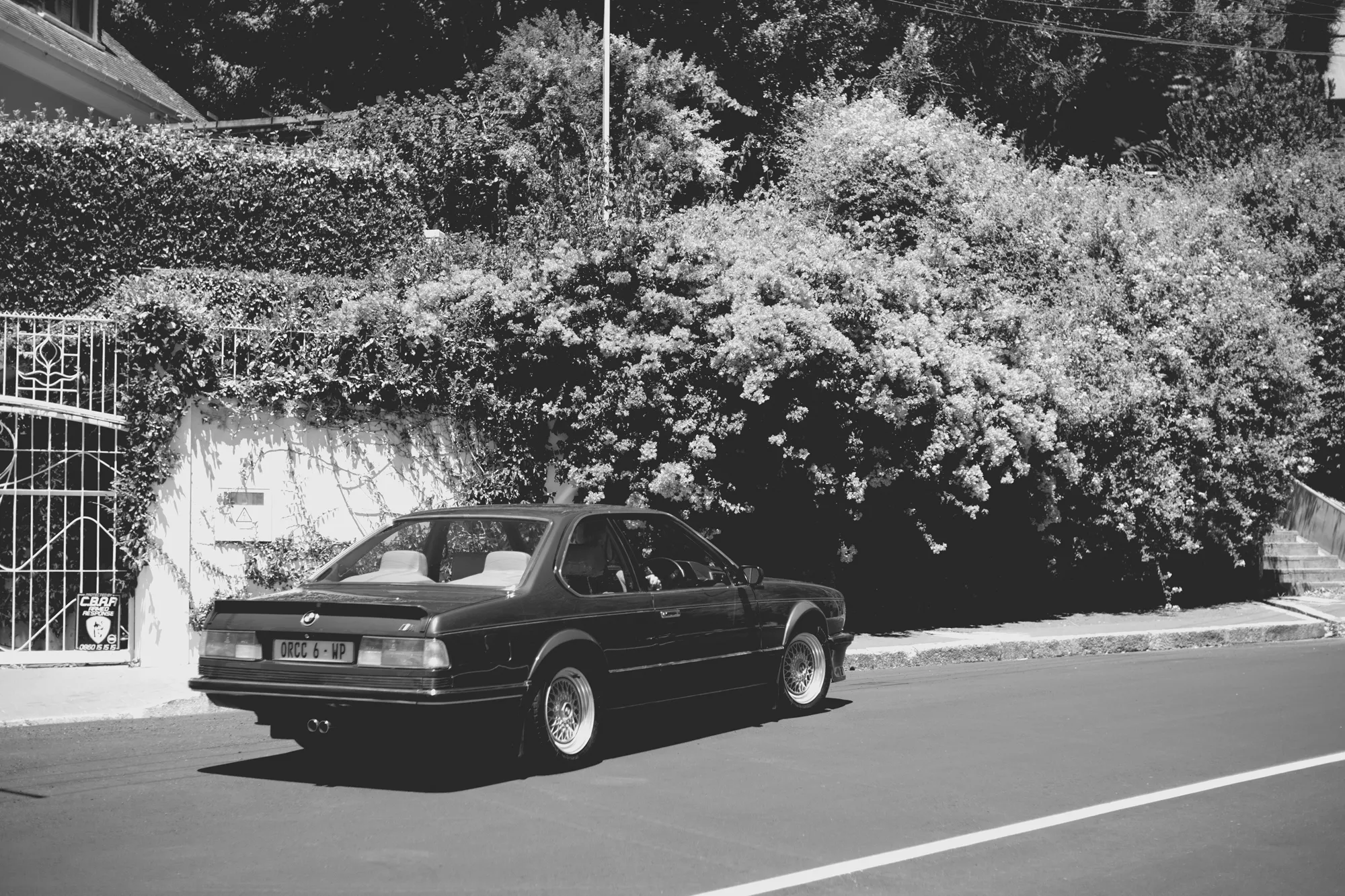 2022-02-16 - Cape Town - Car driving next to plants