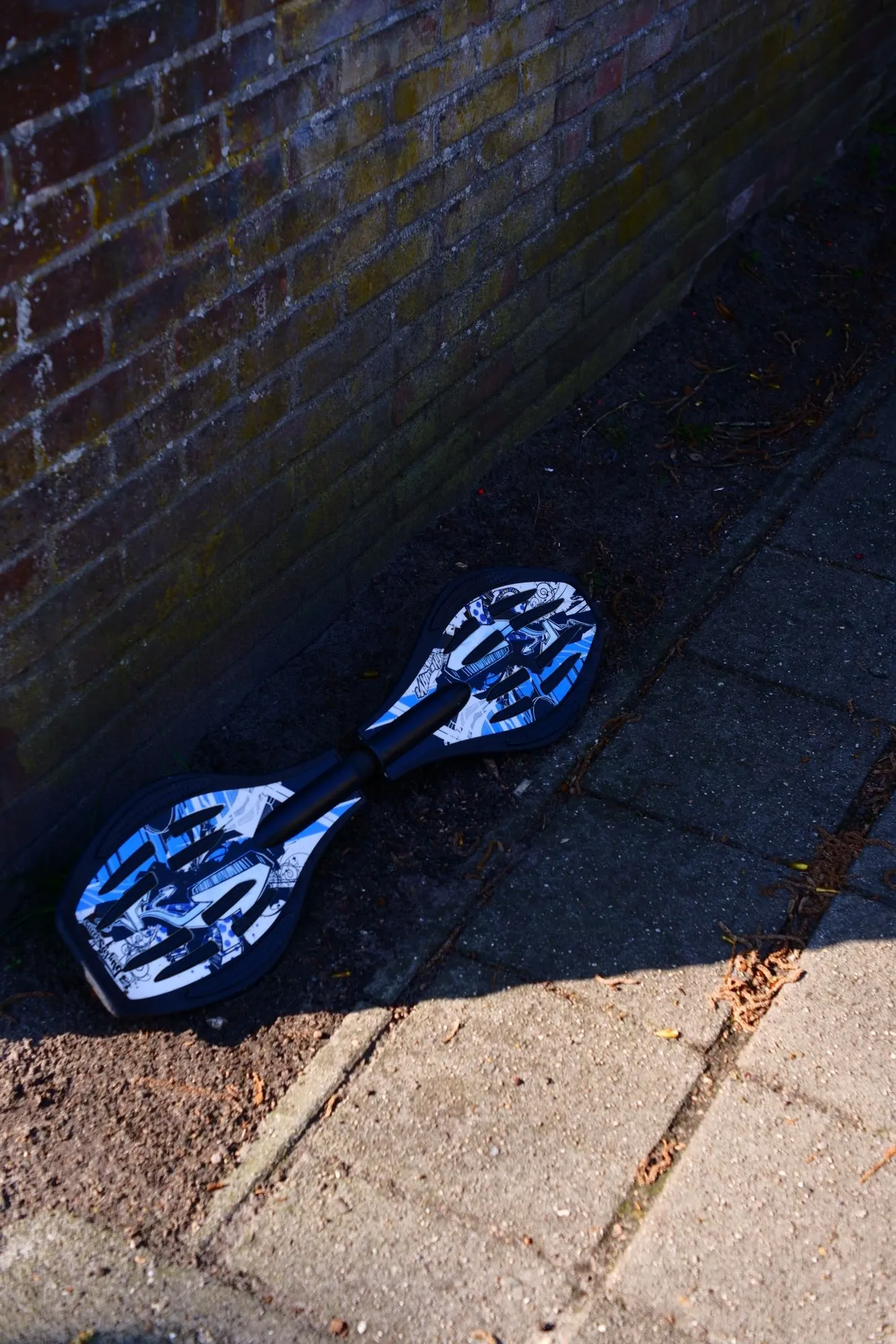 2023-03-15 - Blue ripstick board laying on the side of the path