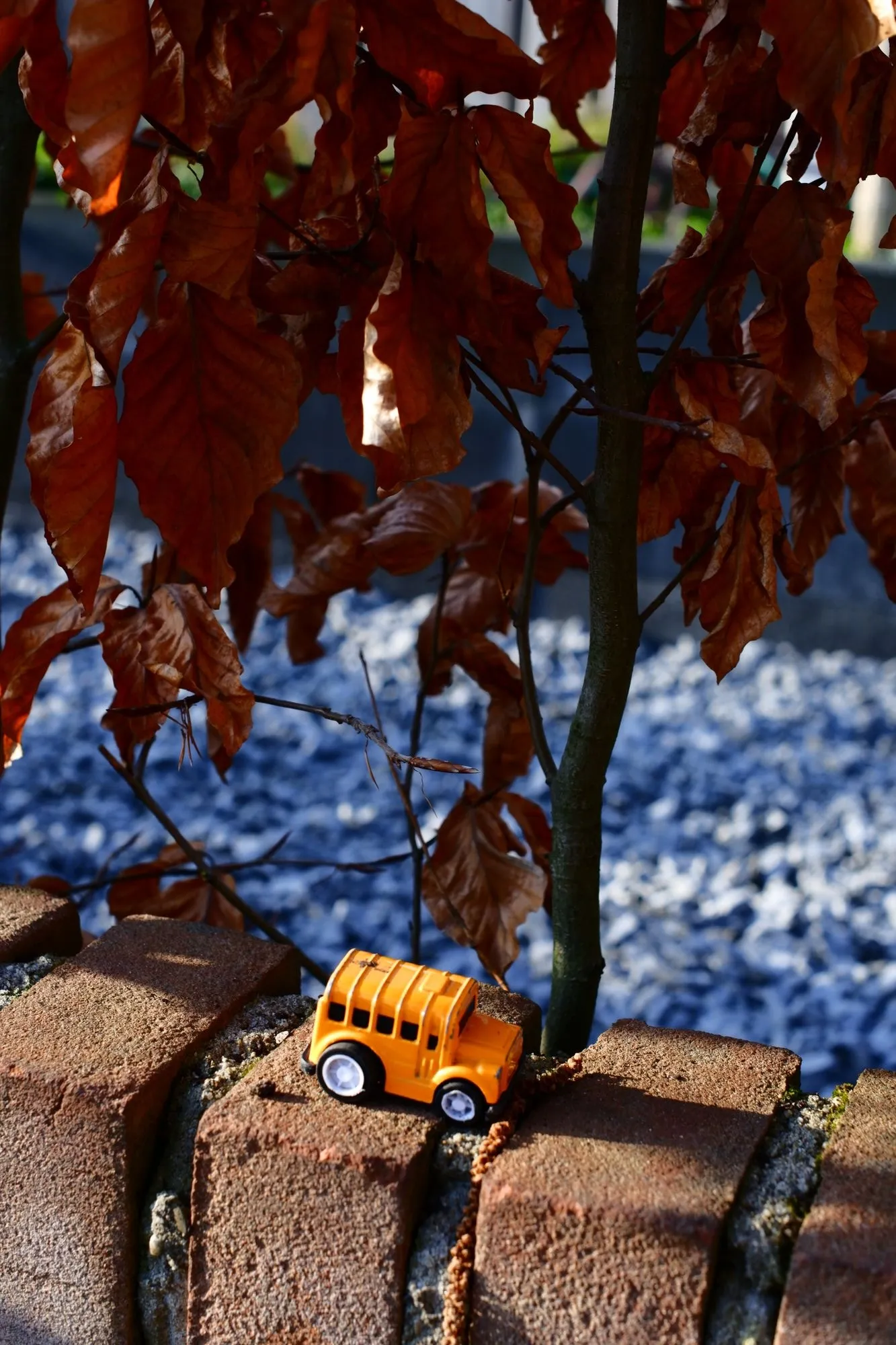2026-03-15 - Little toy truck on brick wall