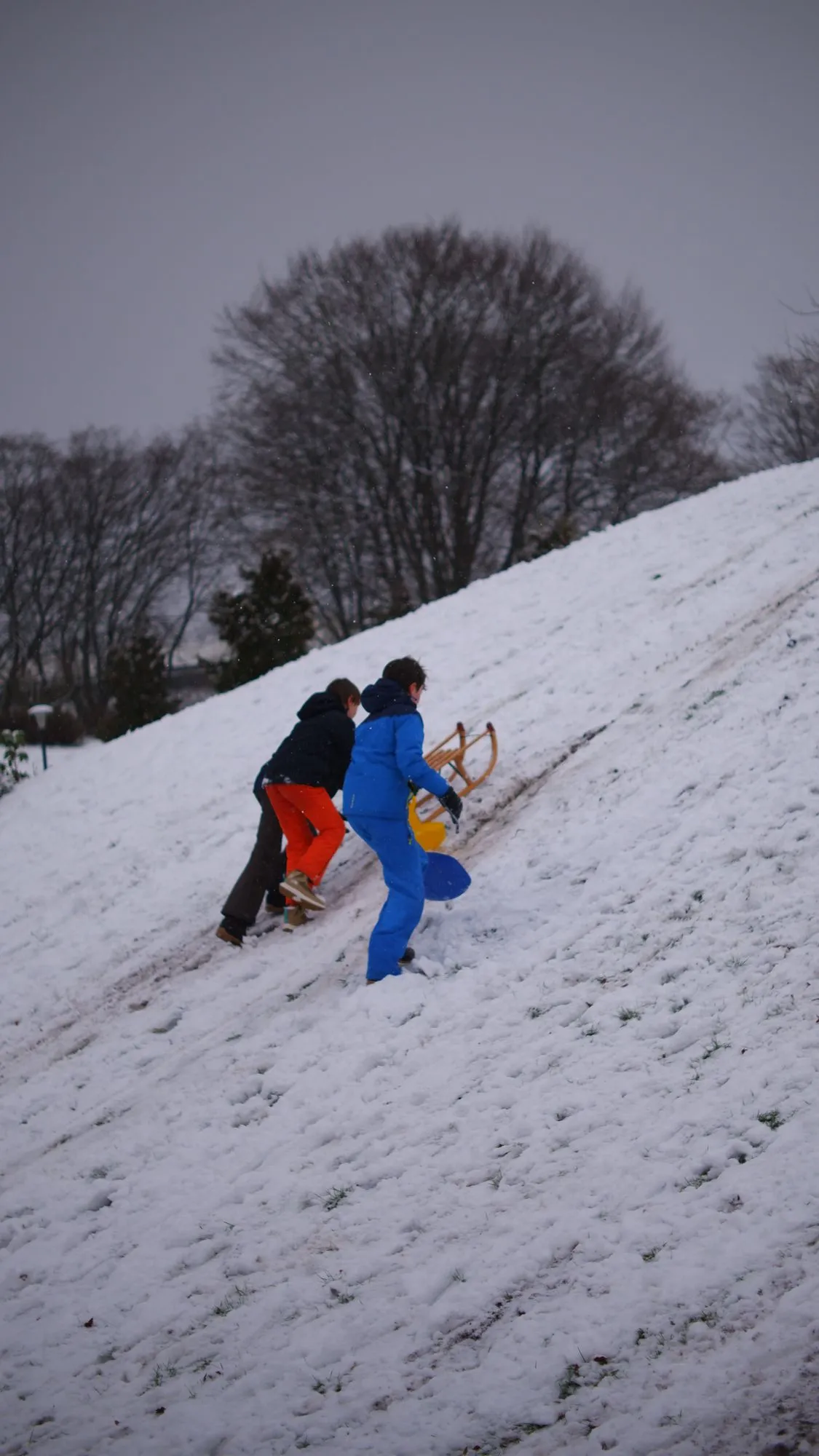 Kids climbing up snow covered hill with sleds