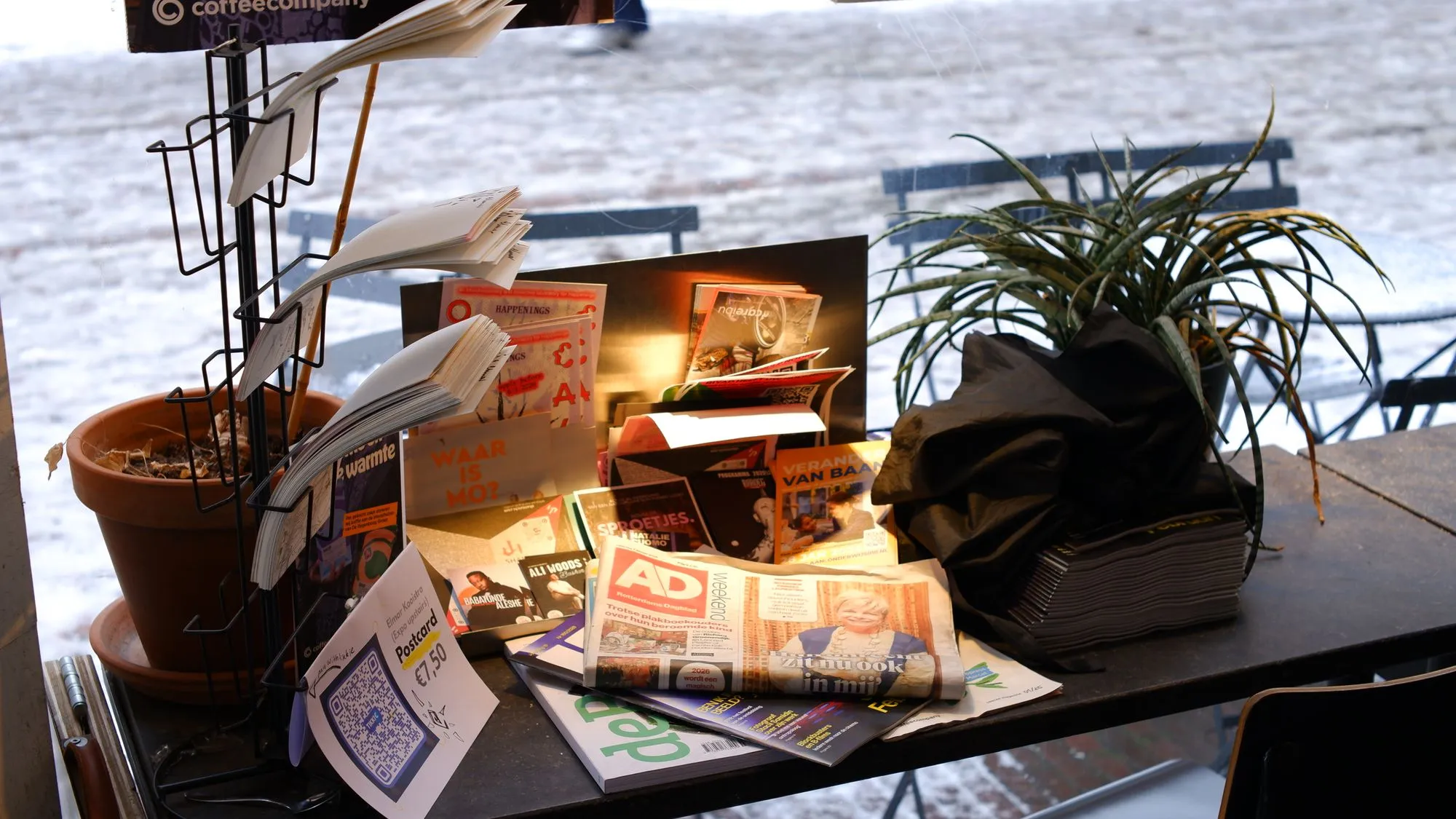 Newspapers on coffee table beside plant