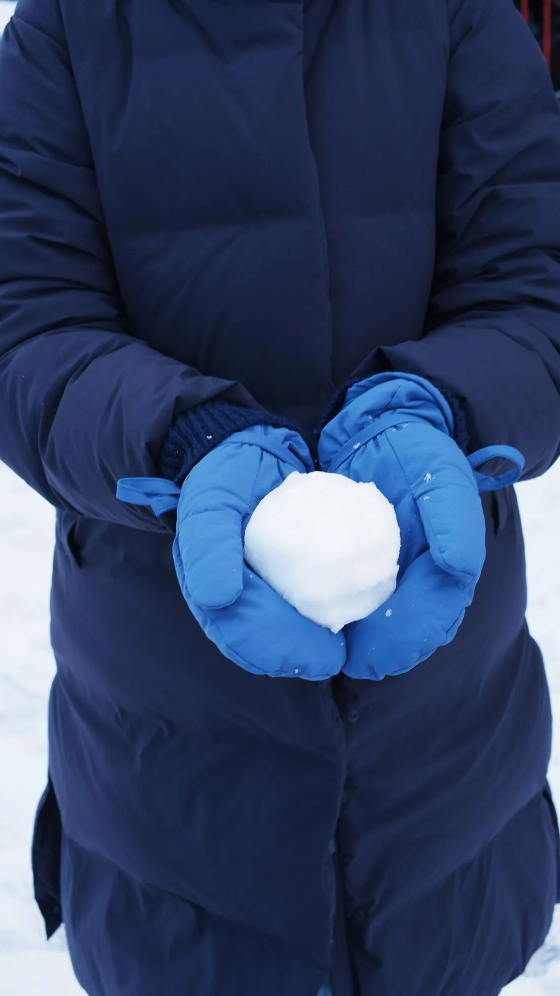 Person holding snowball