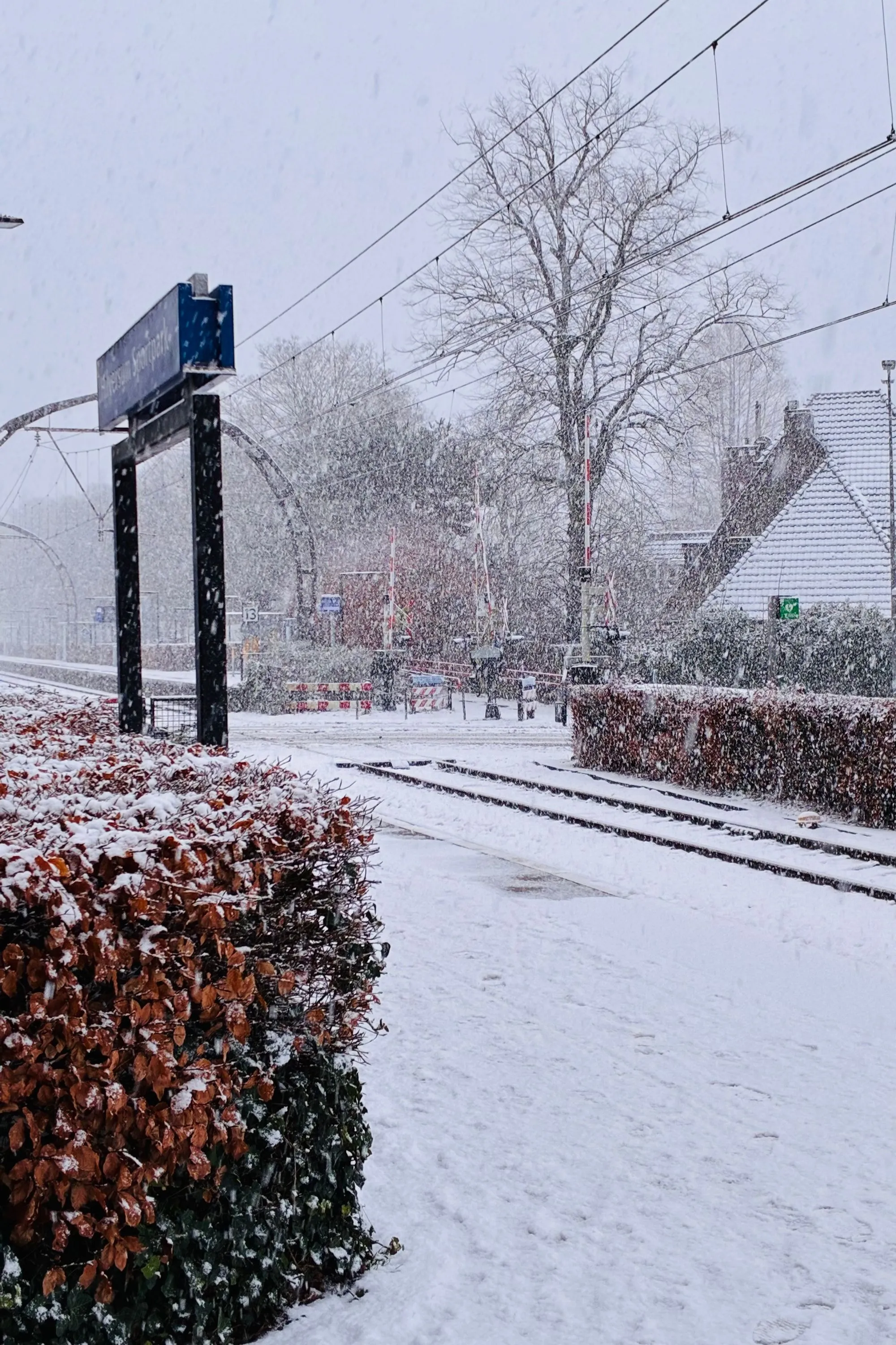 Train lines beside station in a snowstorm
