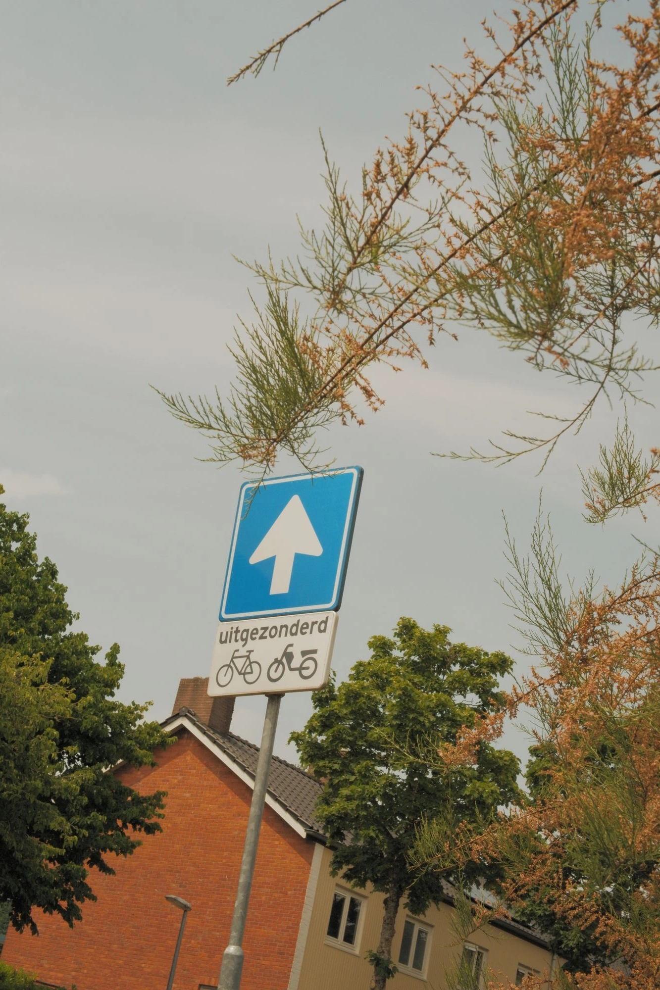 2026-05-31 - xt35 - color - NL - Utrecht - One-way-sign pointing upwards