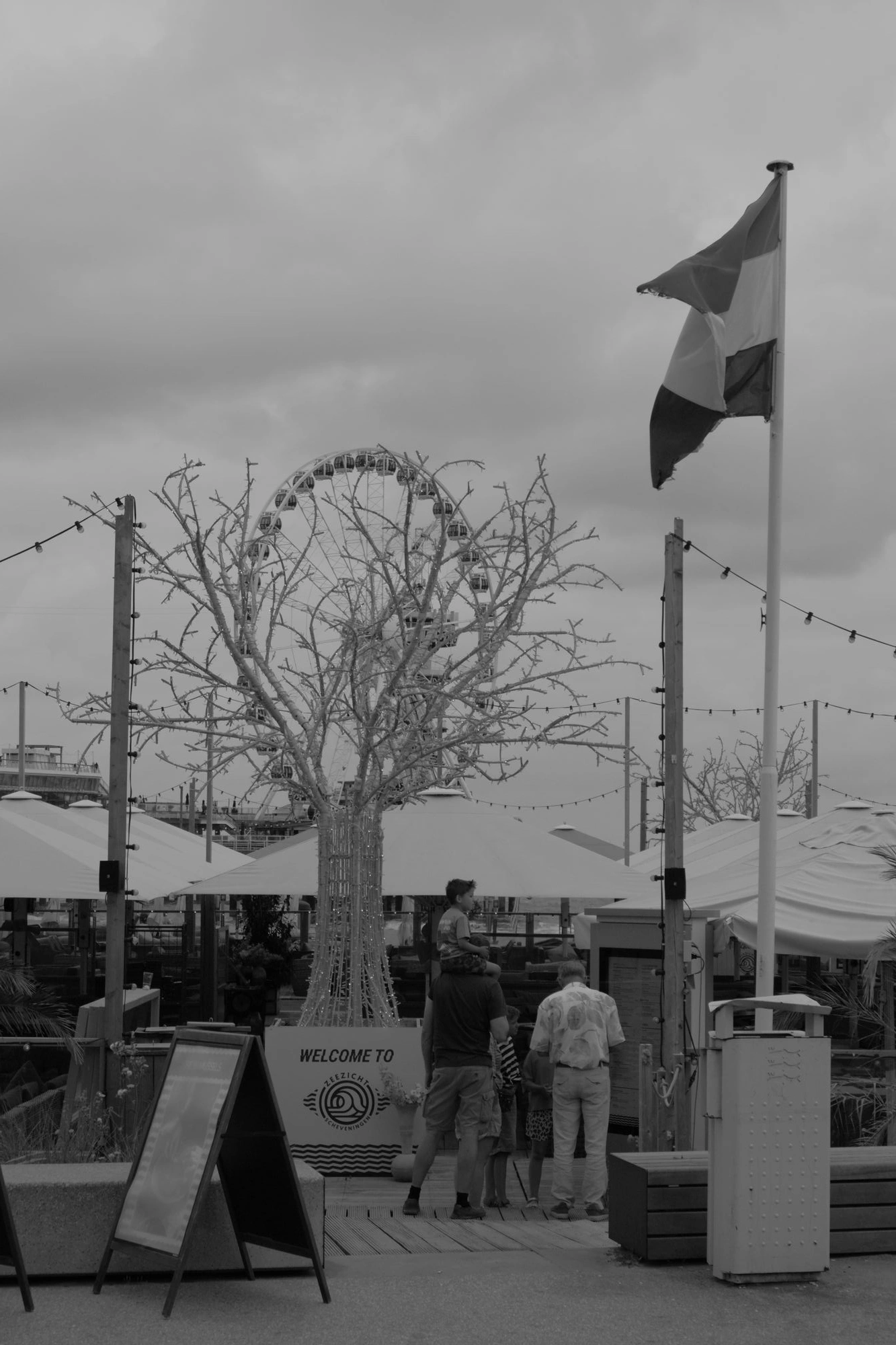 2026-07-18 - xt15-45 - bw - NL - Scheveningen - Tree with ferris wheel in background