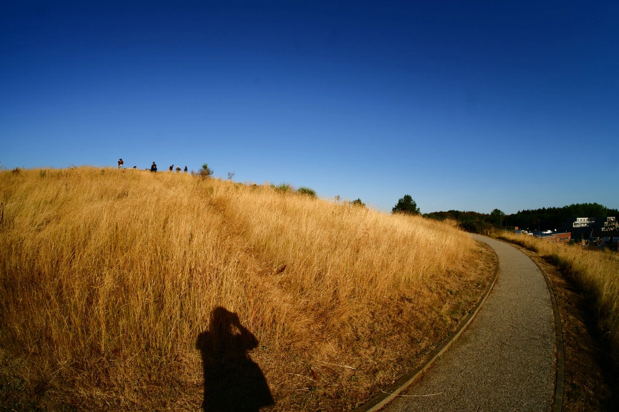My shadow on the side of a hill