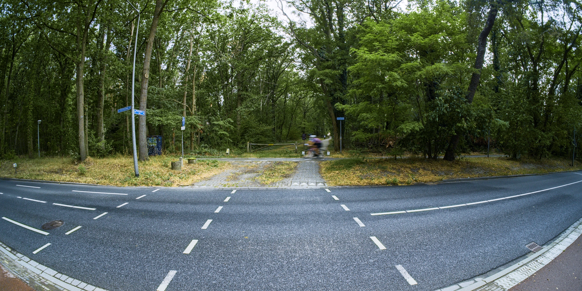 Road with blurry bicycle and forest in the background