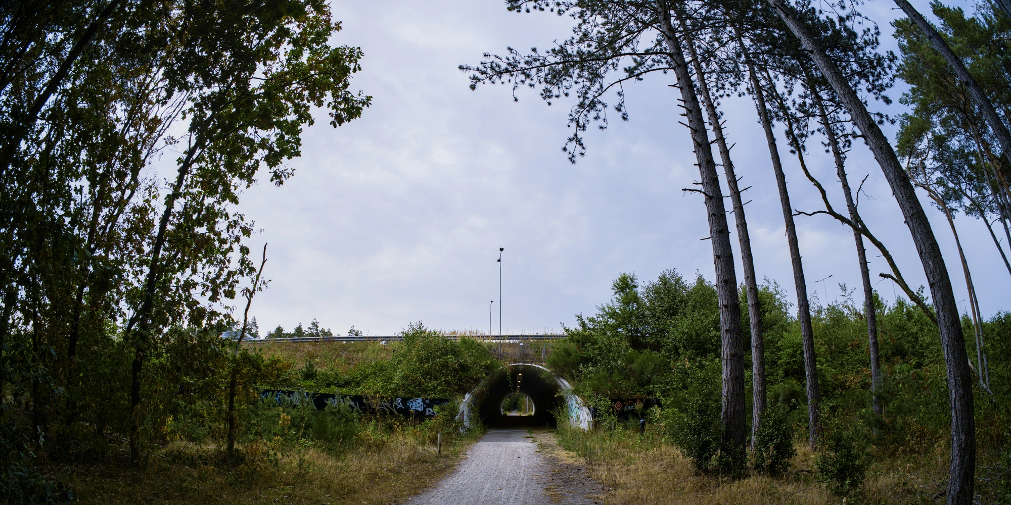 Tunnel going under bridge