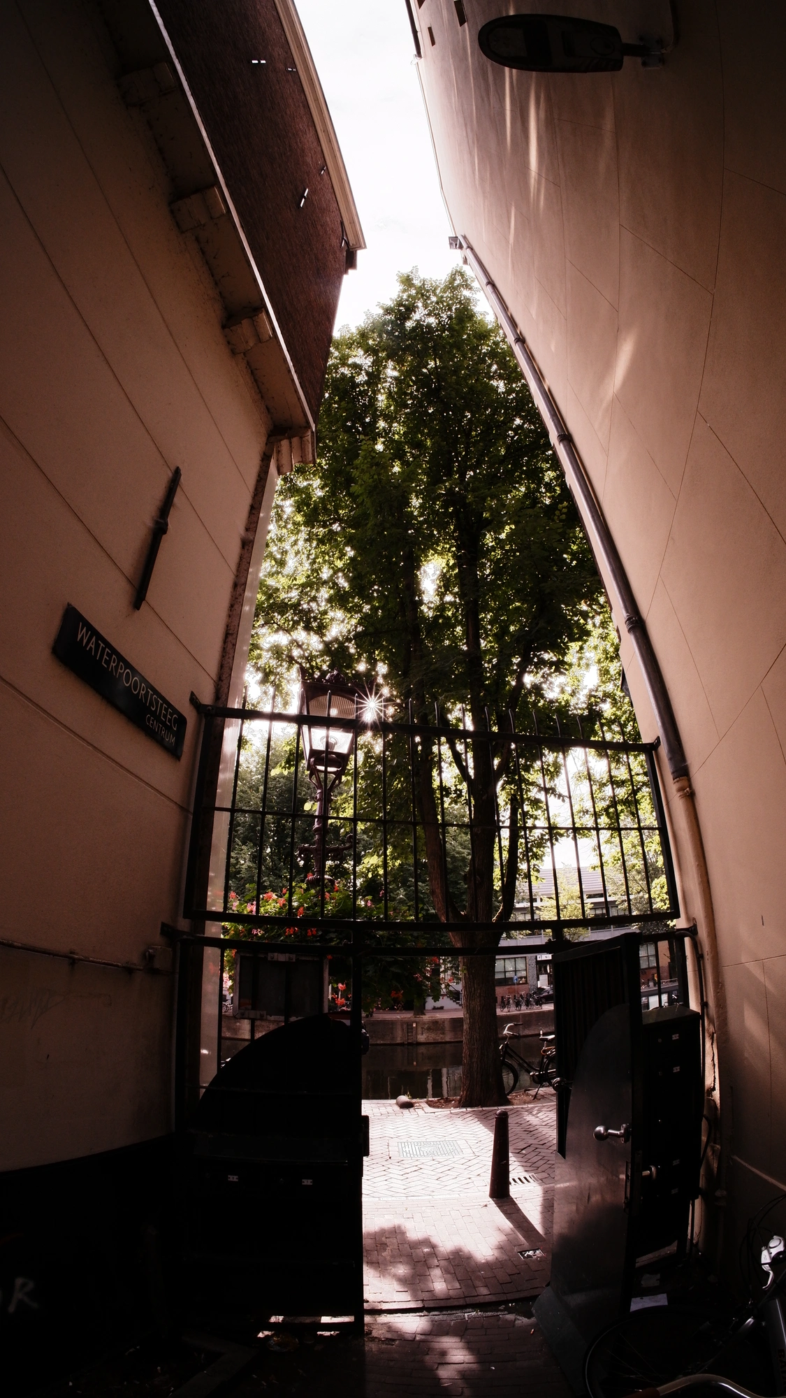 Gate between two buildings leading to canal with big tree framing large tree