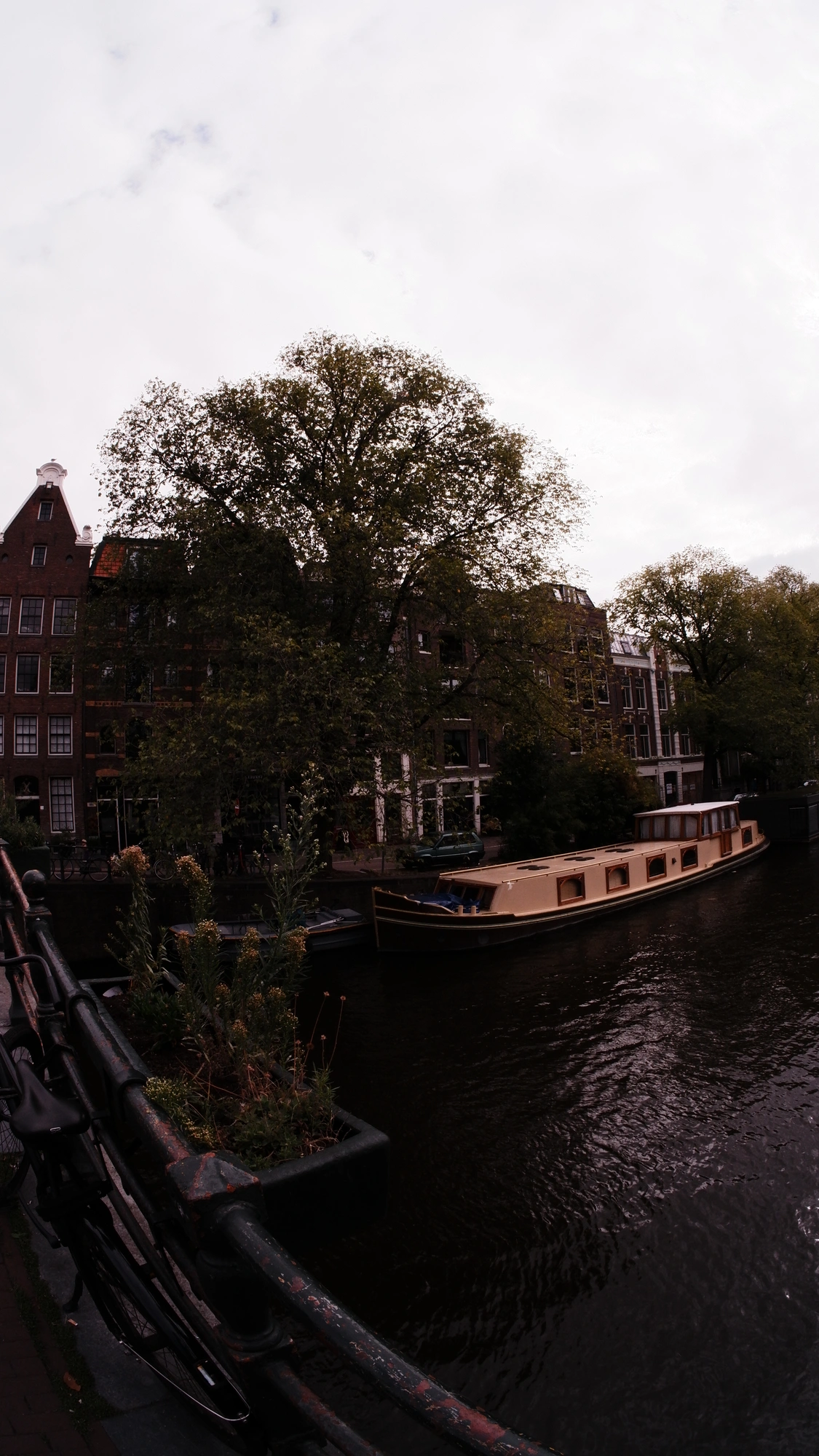 Wooden boat docked next to large tree