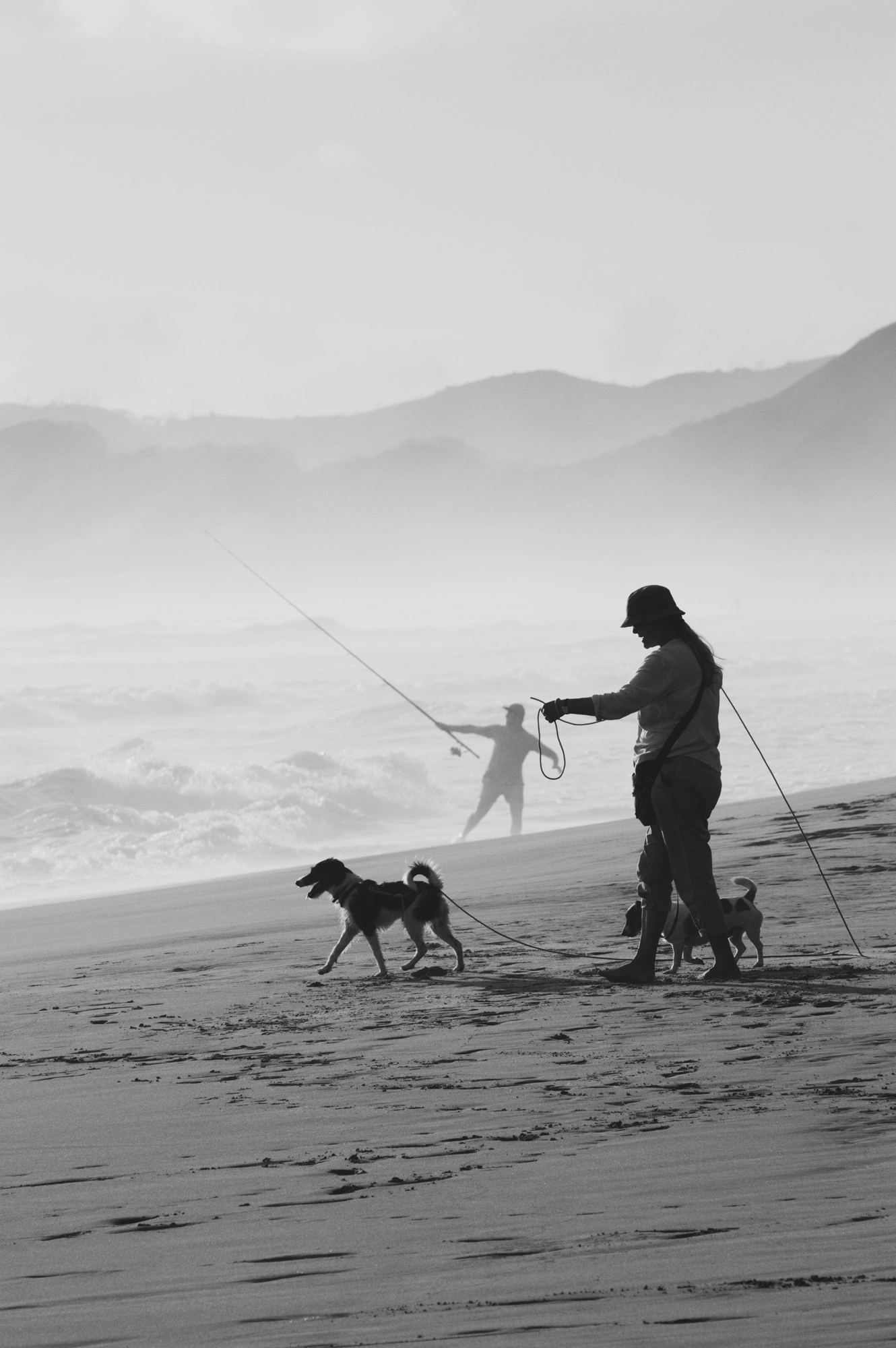 Person walking dogs on the beach with fisherman in the background