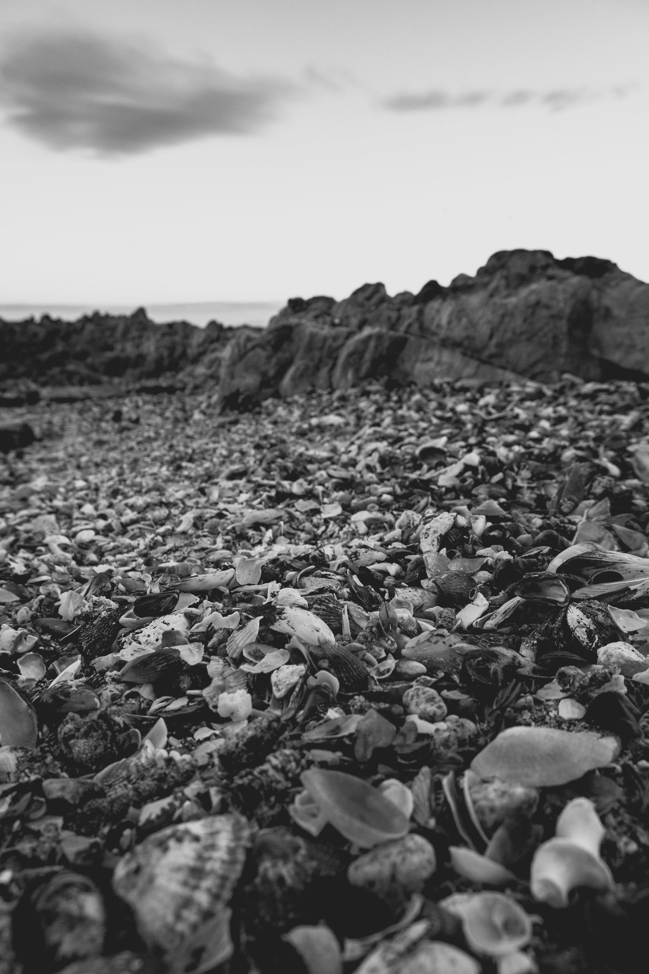 2022-02-13 - xt15-45 - bw - ZA - Cape Town - shells with rocks behing them