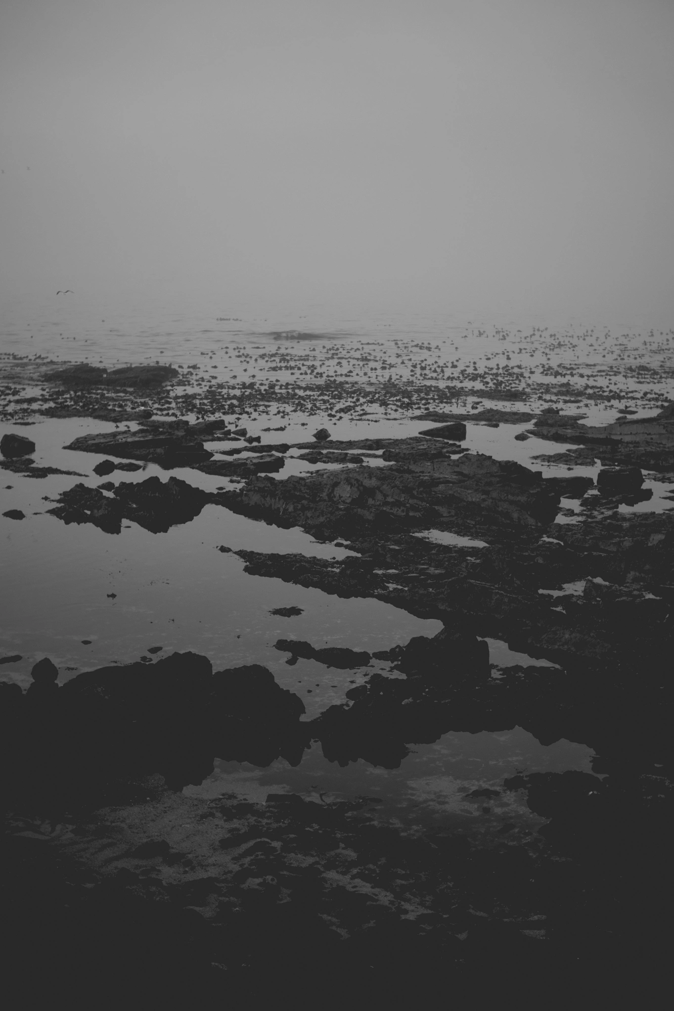 2022-02-15 - xt35 - bw - ZA - Cape Town - Rocks ocean