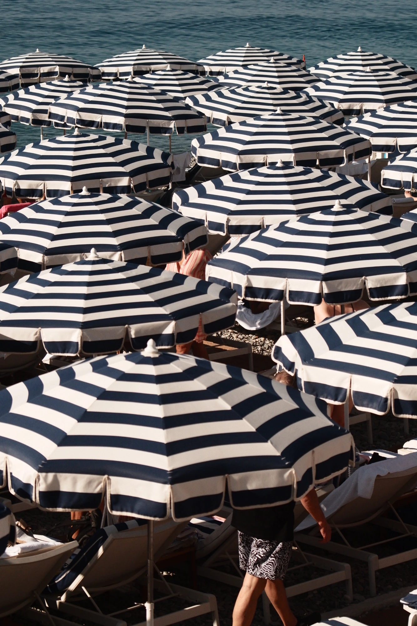 Beach umbrellas