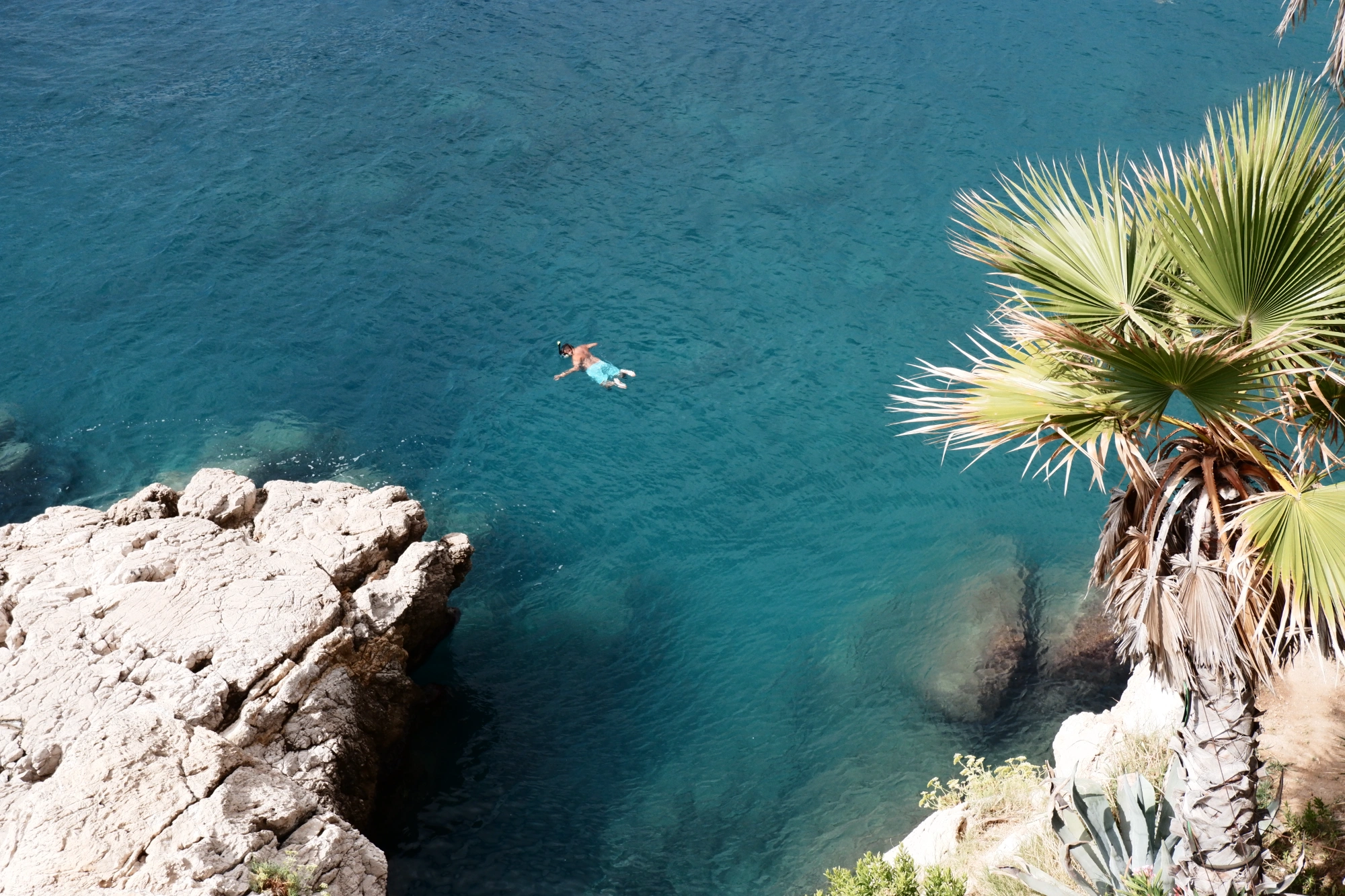 Person snorkeling in the sea