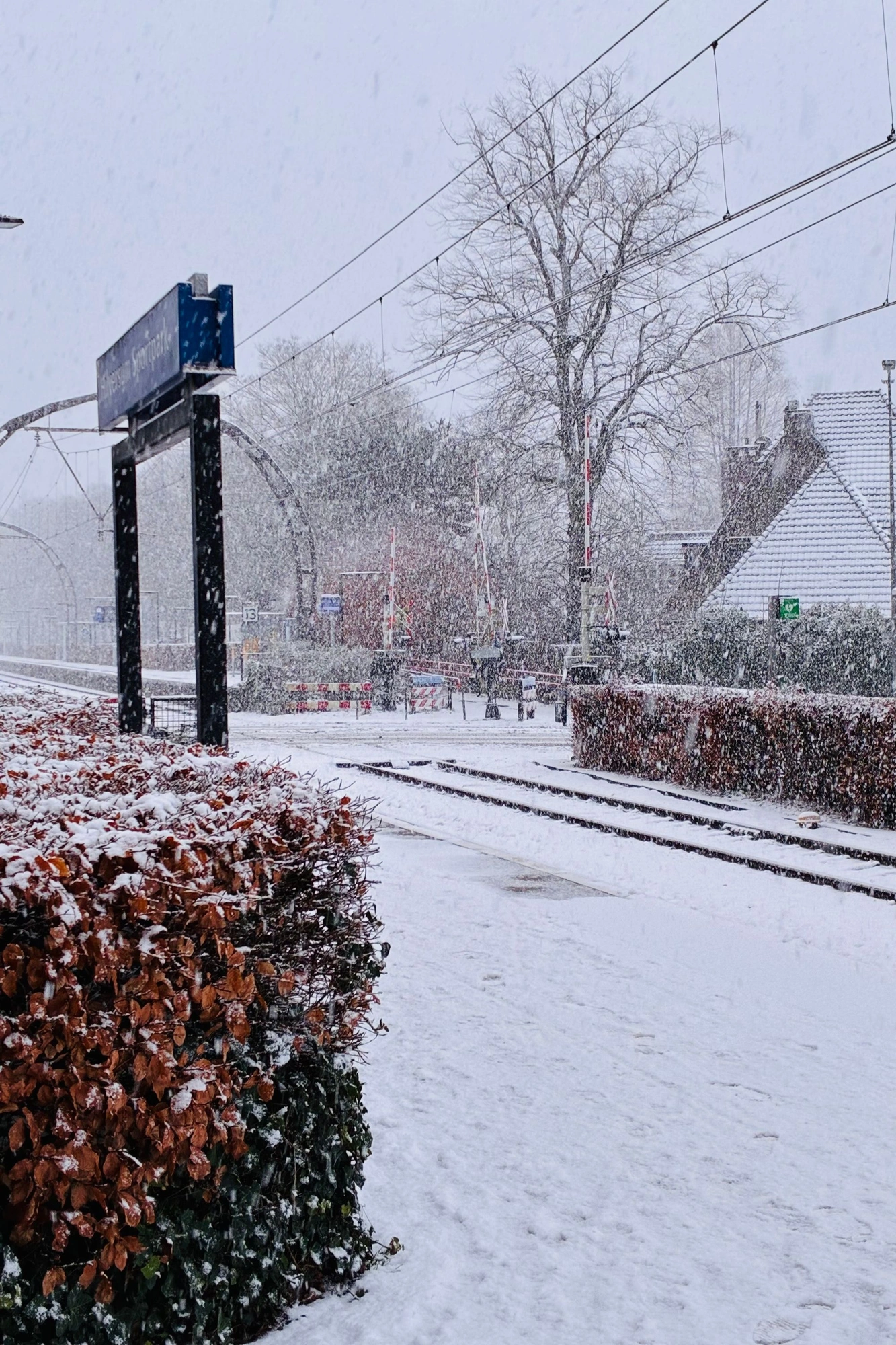 2026-01-04 - i16 - color - NL - Train lines beside station in a snowstorm