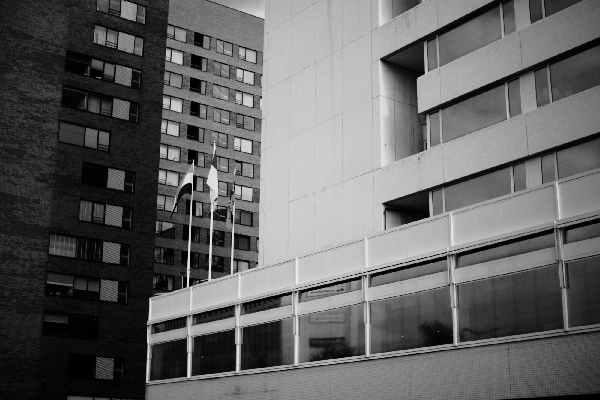 2023-08-17 - xt35 - bw - NL - Flags on building corner