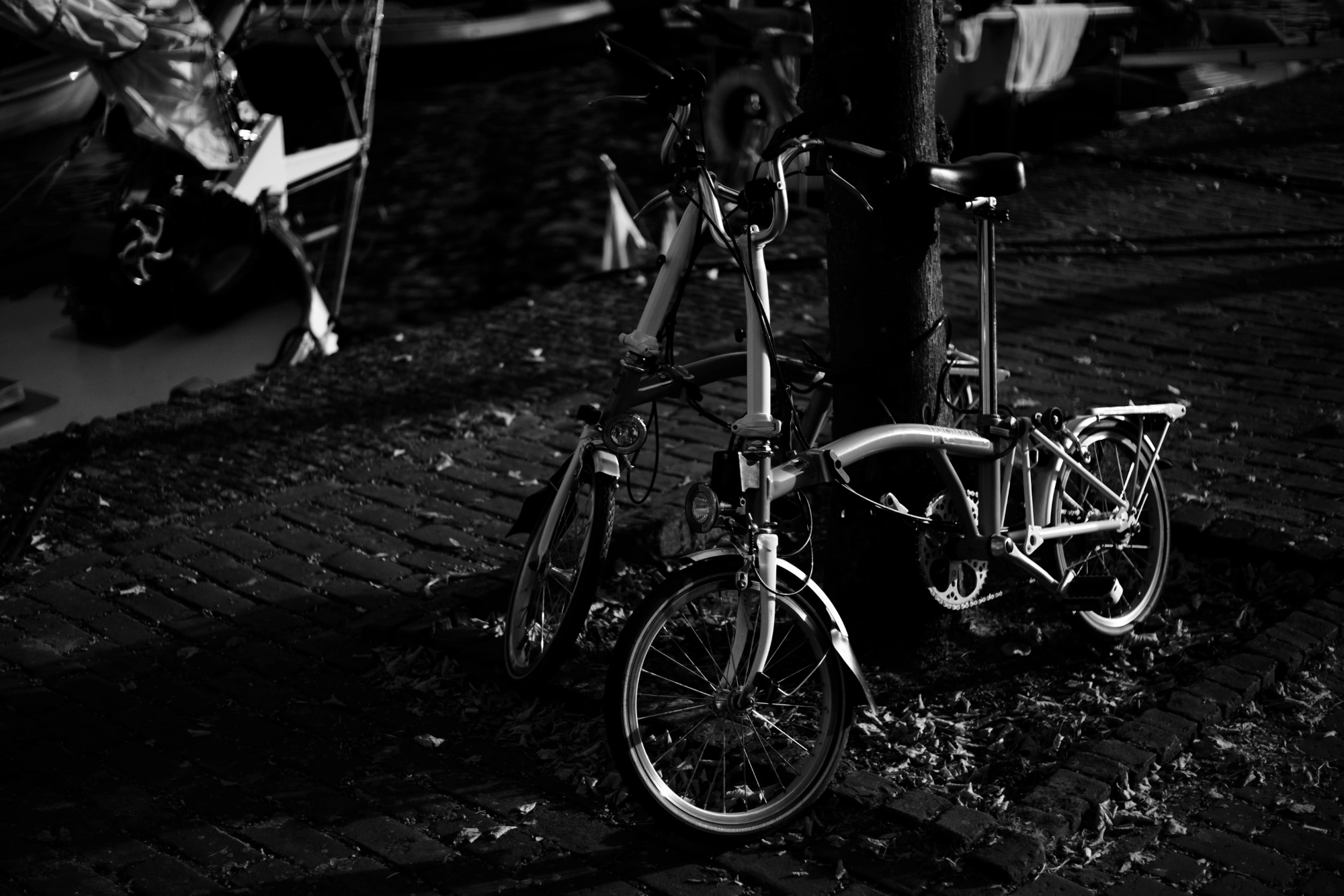 2023-09-09 - xt35 - bw - NL - Foldable bicycles parked against tree