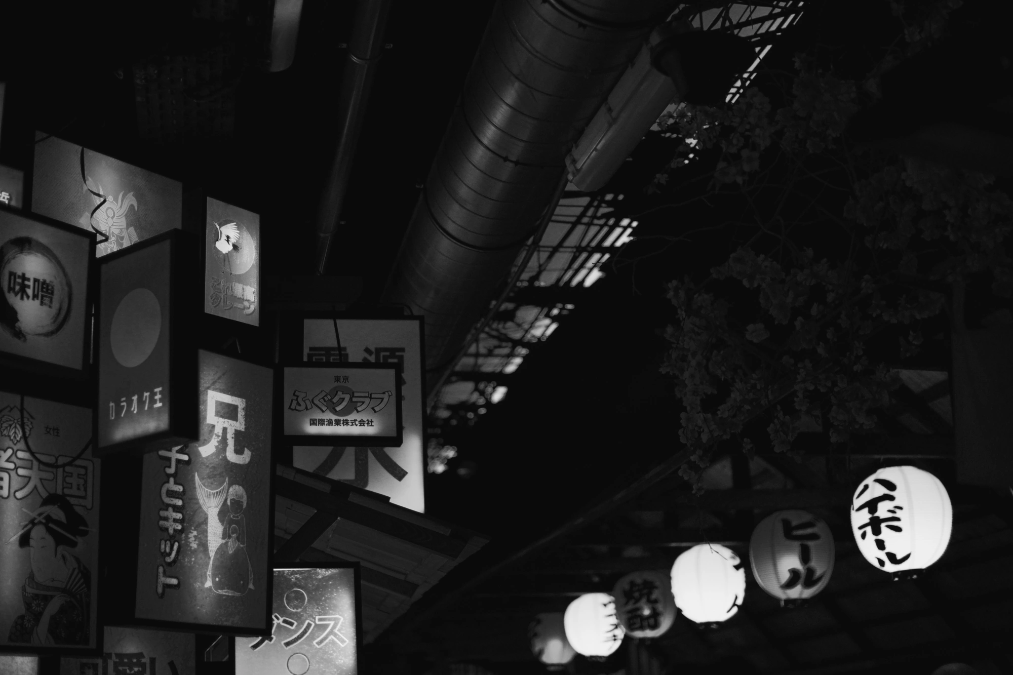 2023-12-15 - xt35 - bw - NL - Utrecht - Signs and lamps