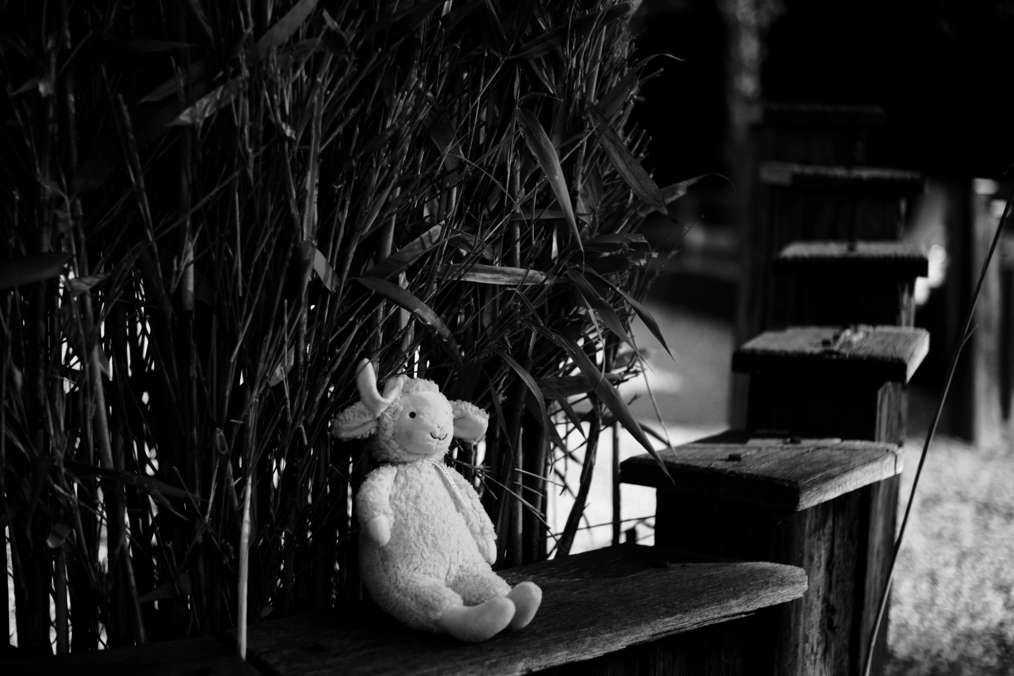 2024-02-03 - xt35 - bw - NL - Stuffed animal outside