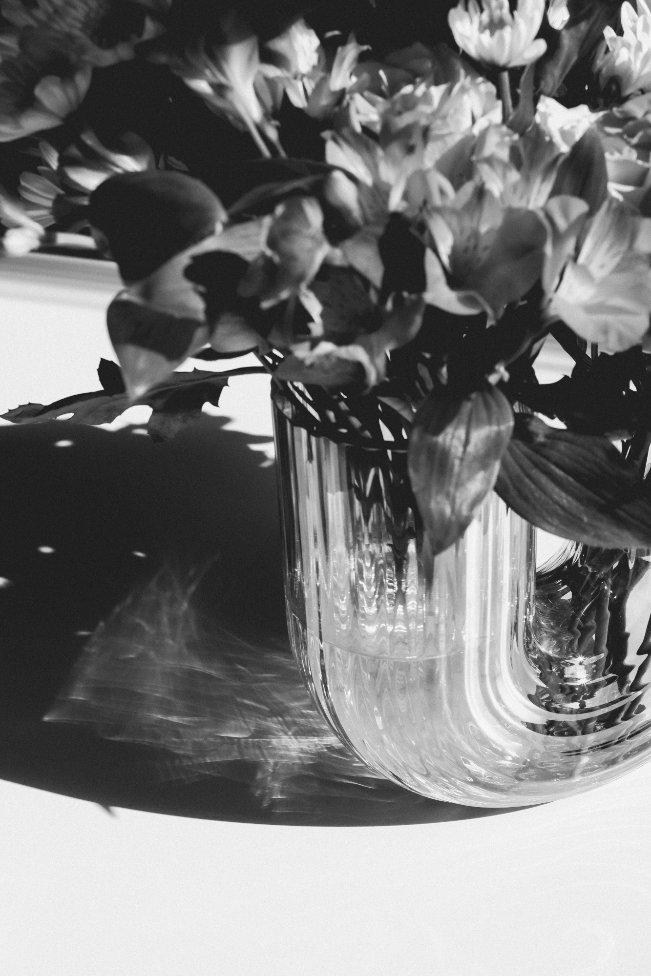 2024-04-21 - xt35 - bw - NL - Vase of flowers on table