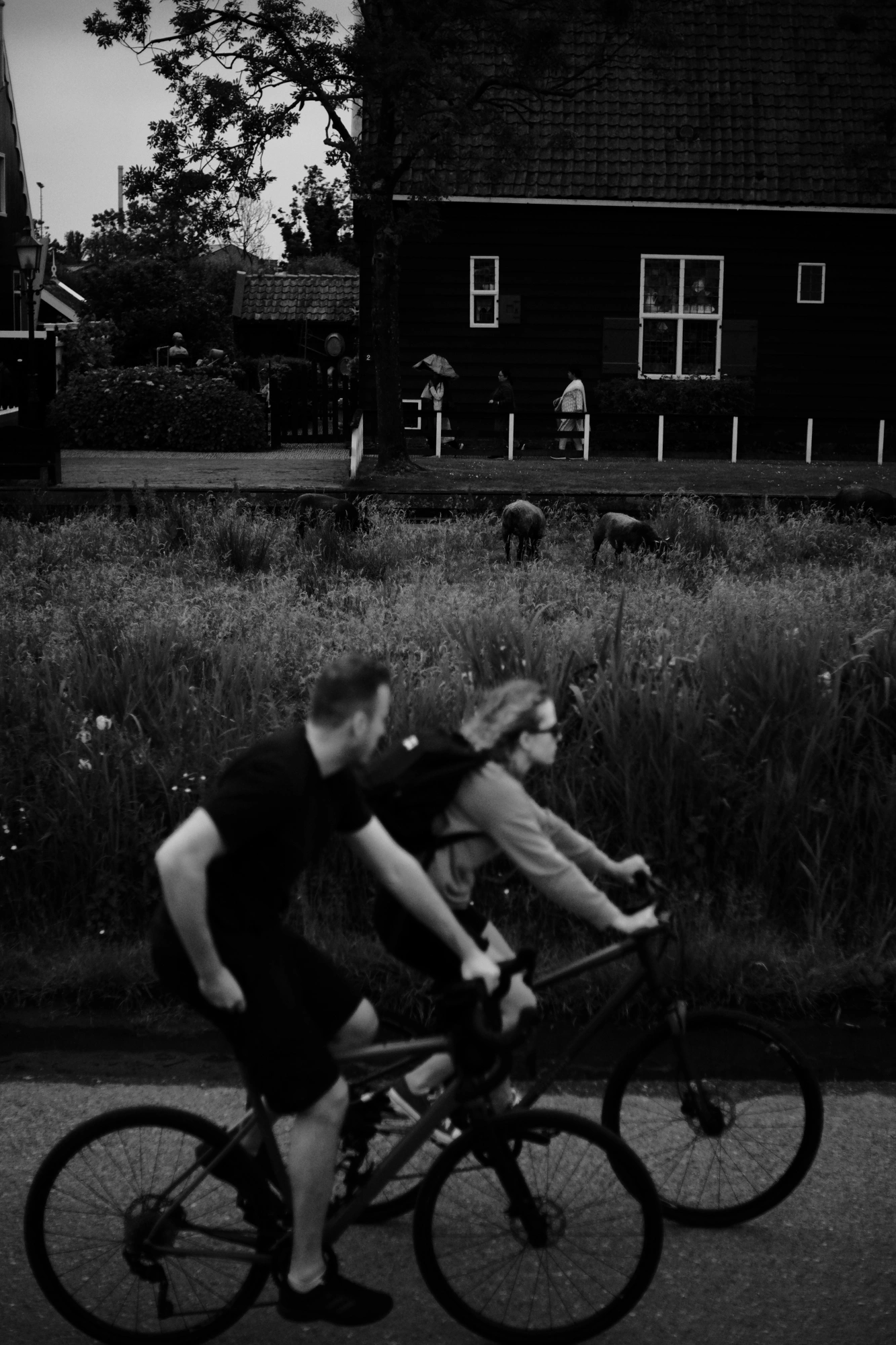 2024-05-26 - xt35 - bw - NL - People cycling