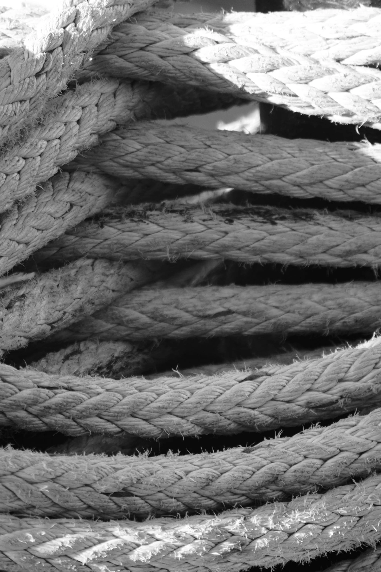 2026-02-08 - xt35 - bw - NL - Den Haag - Ropes