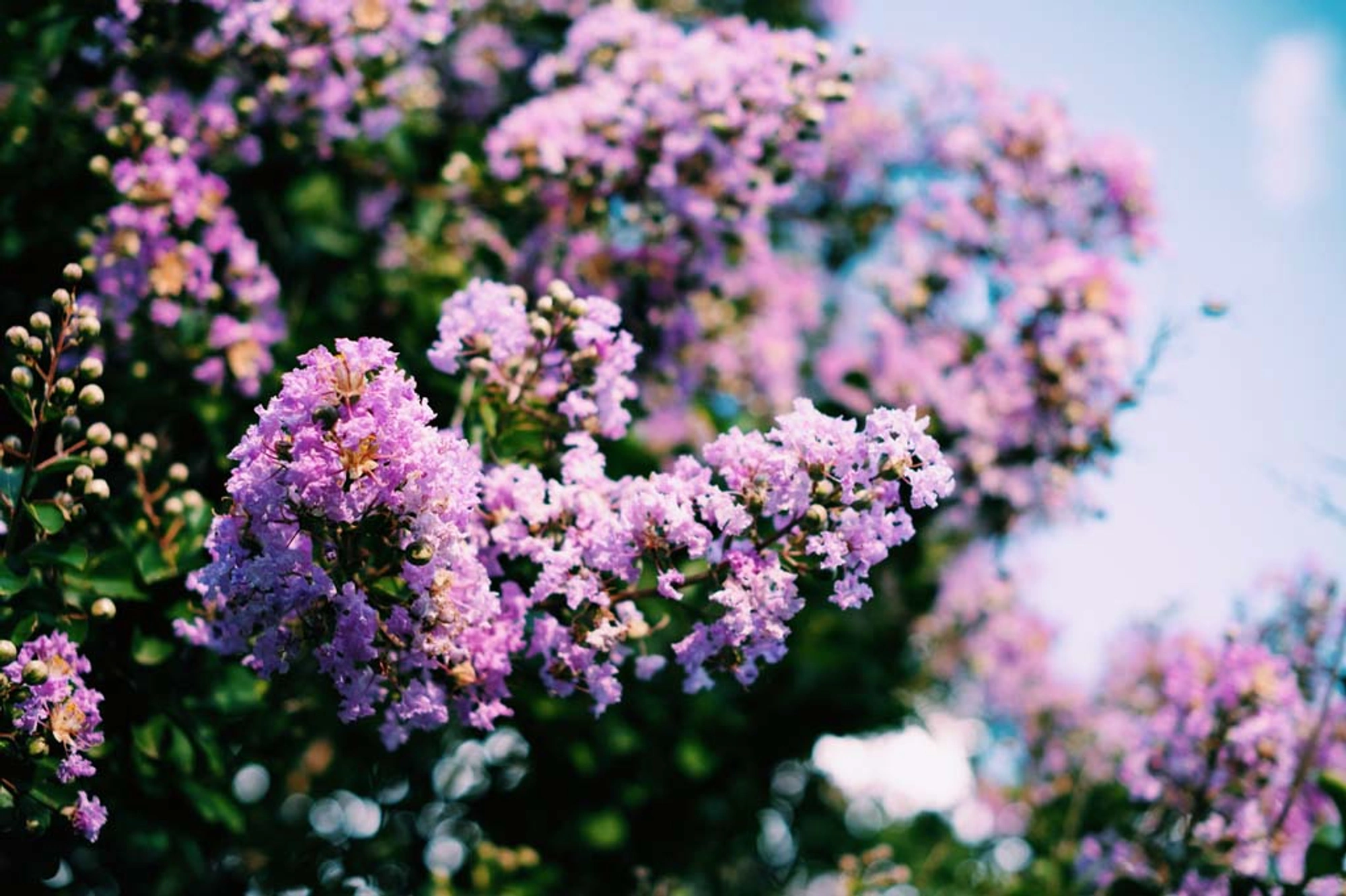 vsco-c1-2