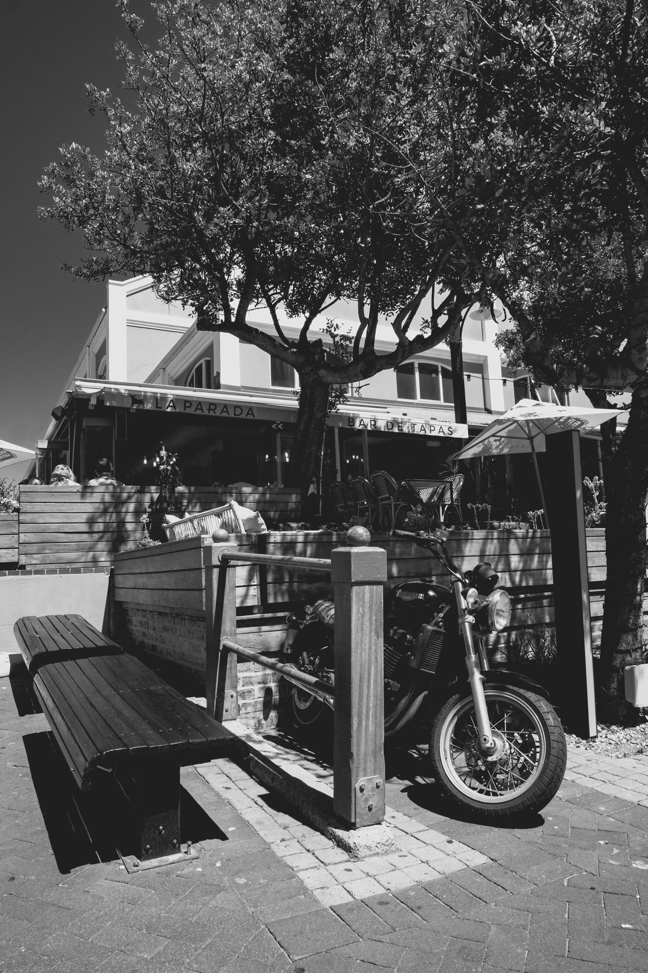 2022-02-13 - Cape Town - A motorbike under a tree.j