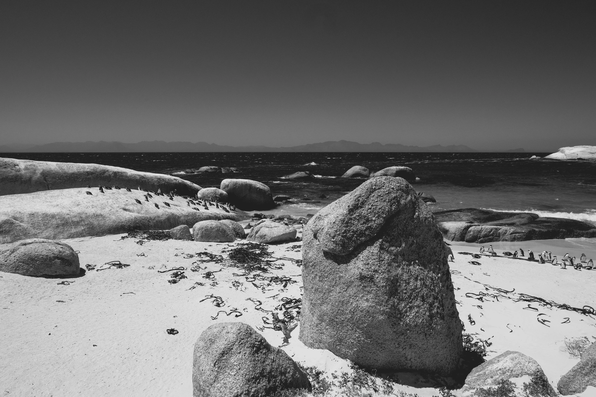 2022-02-14 - Cape Town - Rocks on beach.j