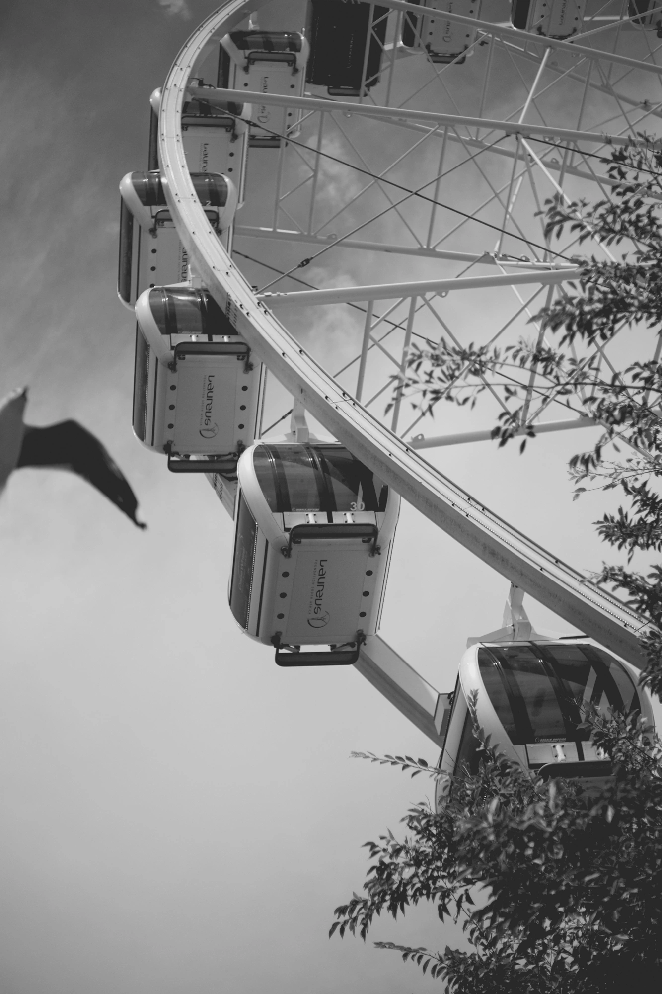 2022-02-18 - Cape Town - Bird flies in front of feris wheel.j