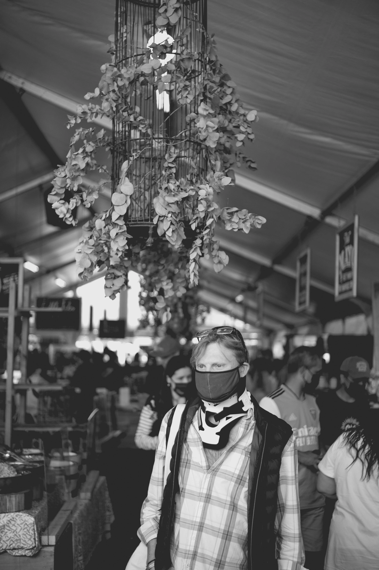 2022-02-18 - Cape Town - Man beneath hanging plant.j