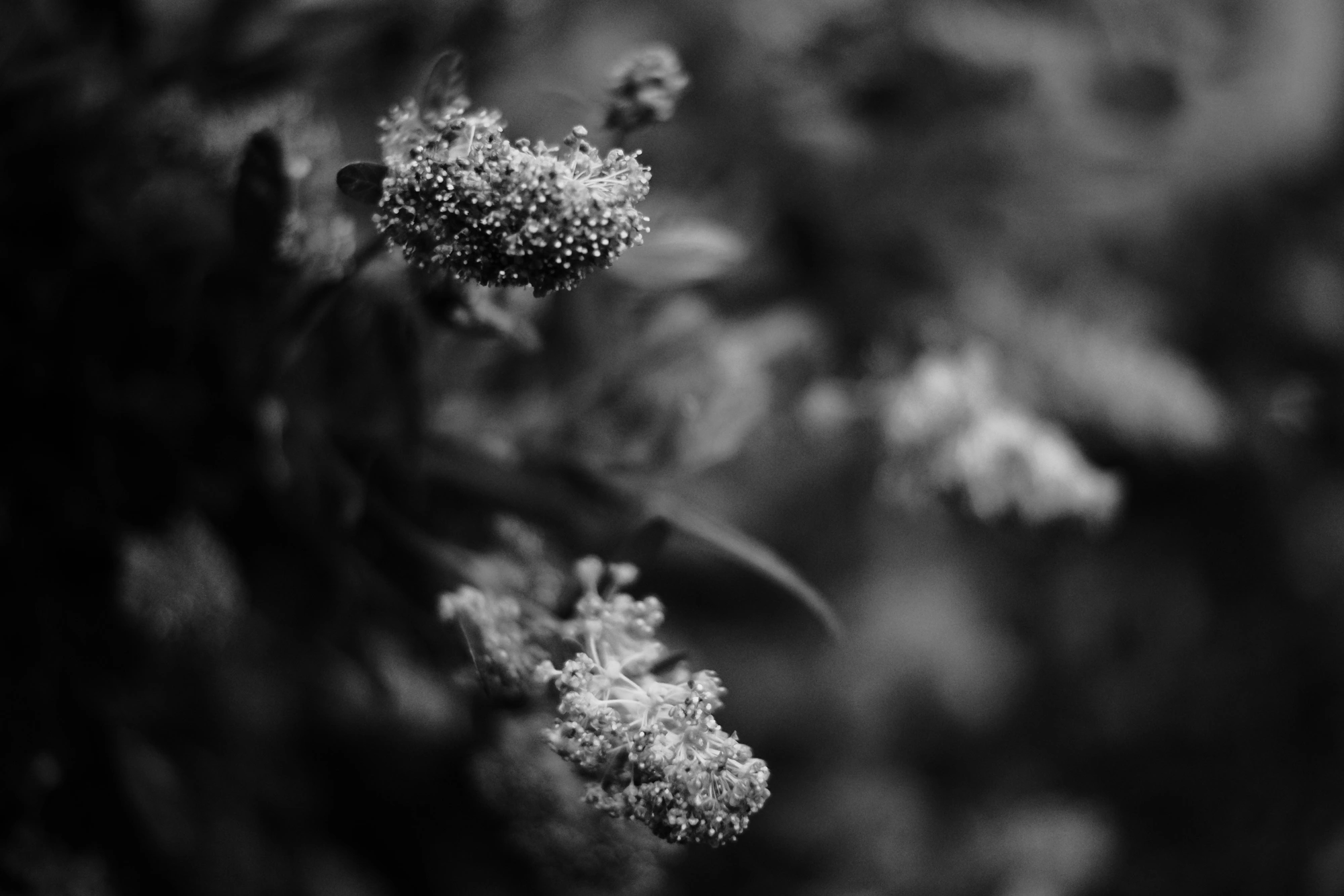 1718644132630_resize.p