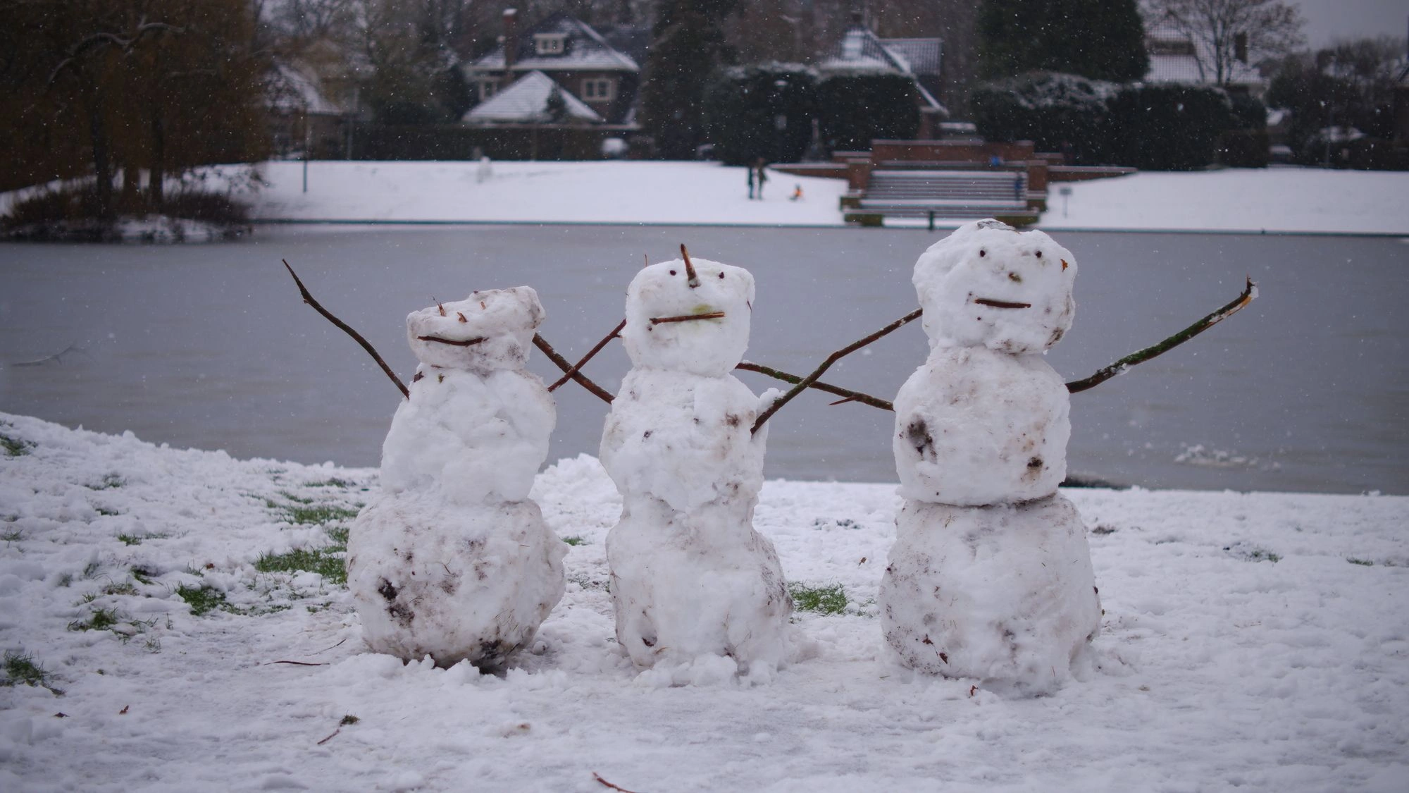 Three snowmen standing proudly.J