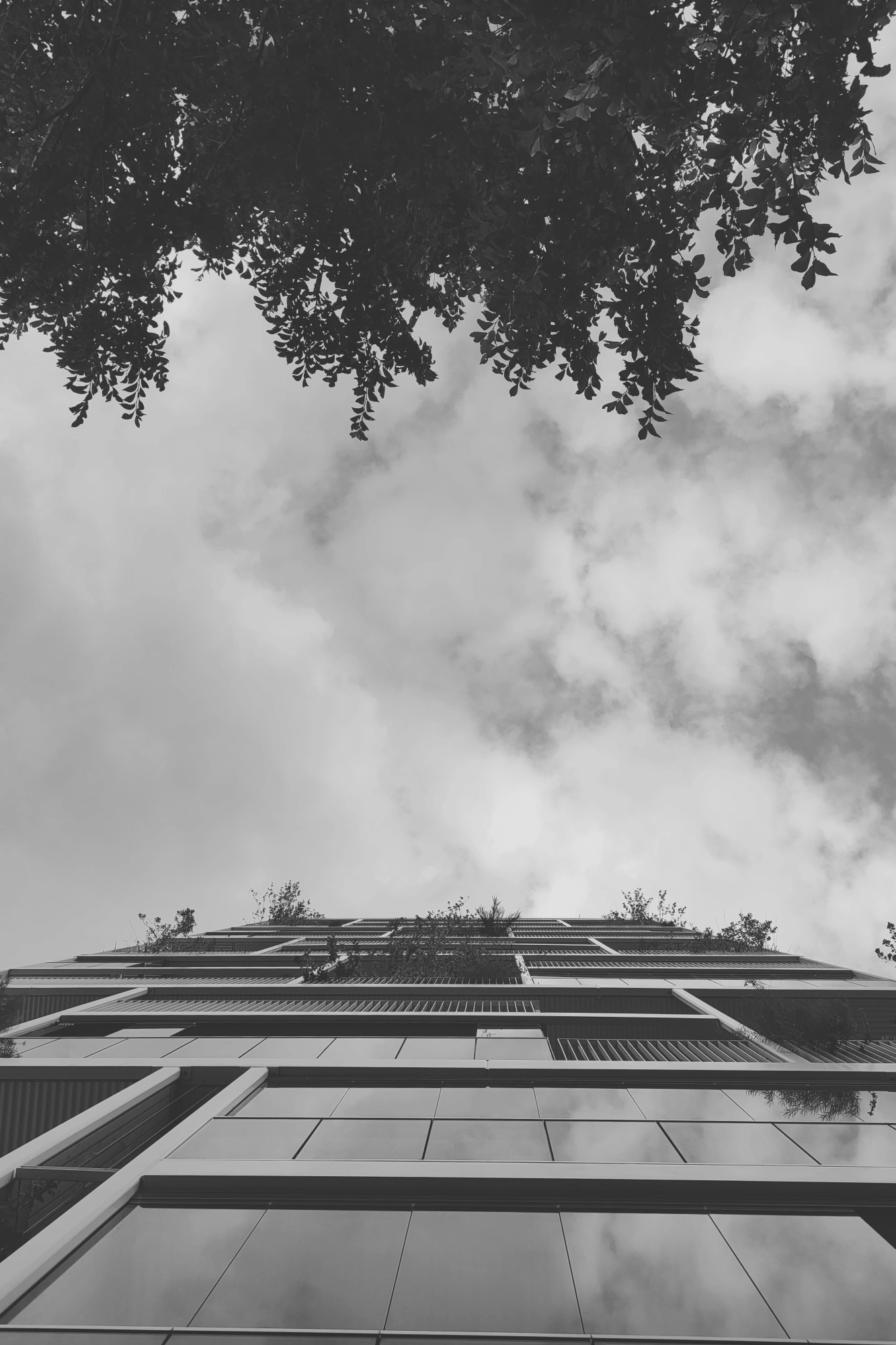 1691650363350_resize.p