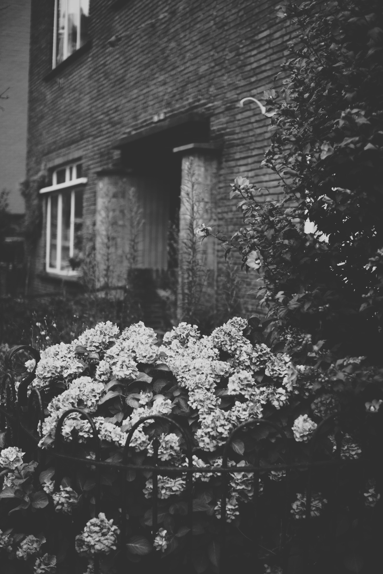 1691650375451_resize.p