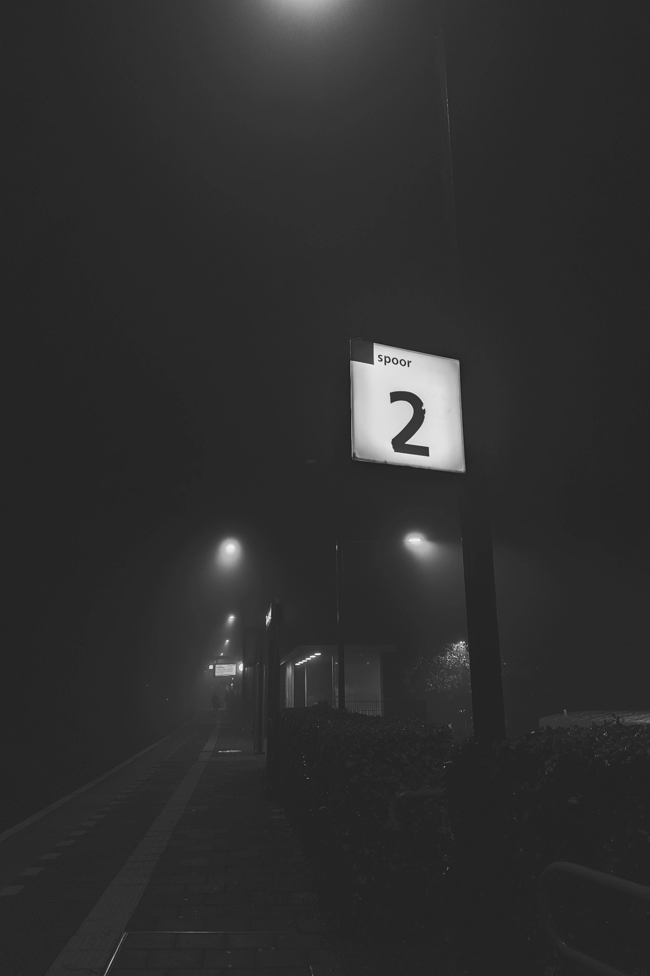 1706771143902_resize.p