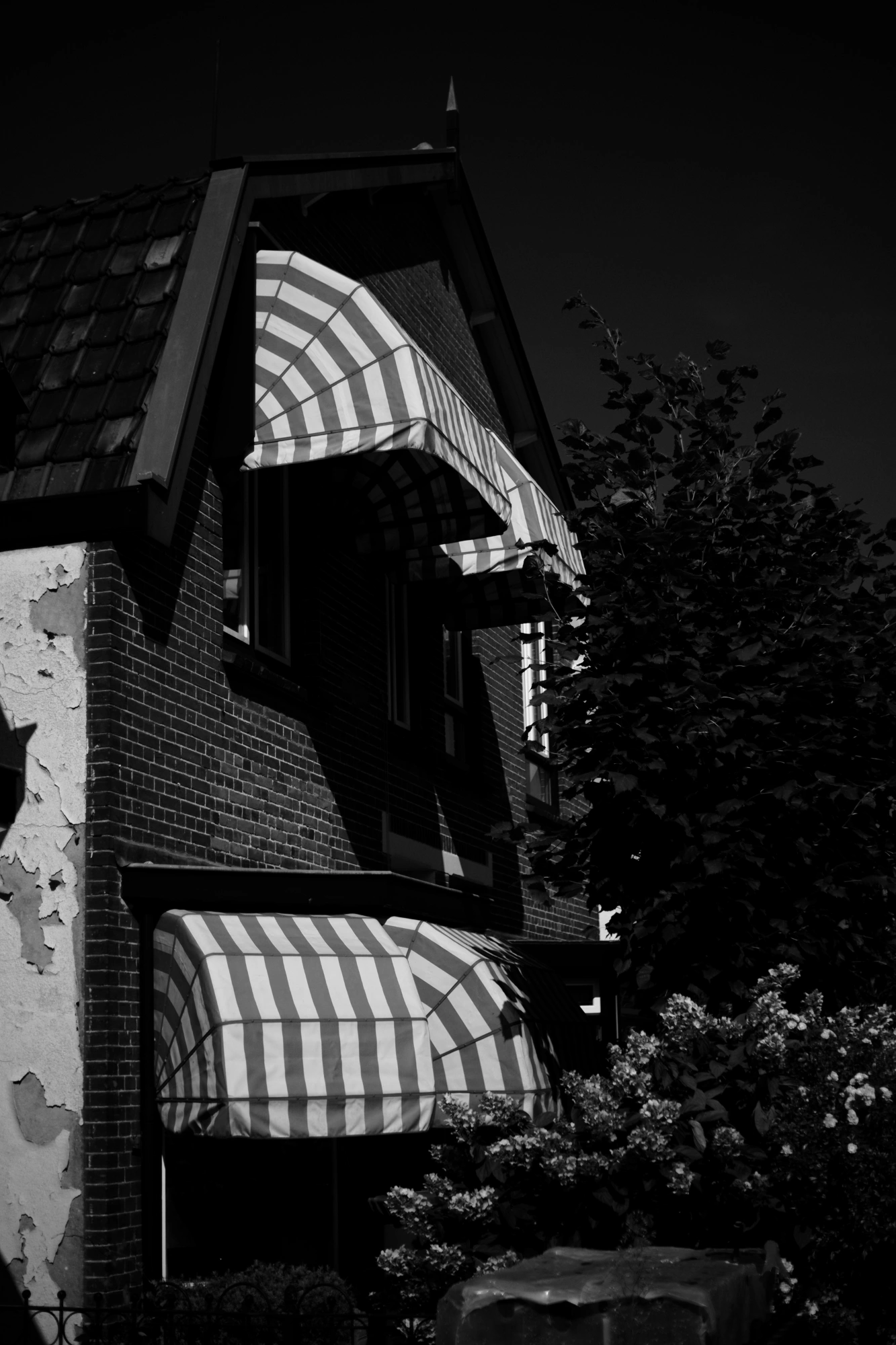 1706771154110_resize.p