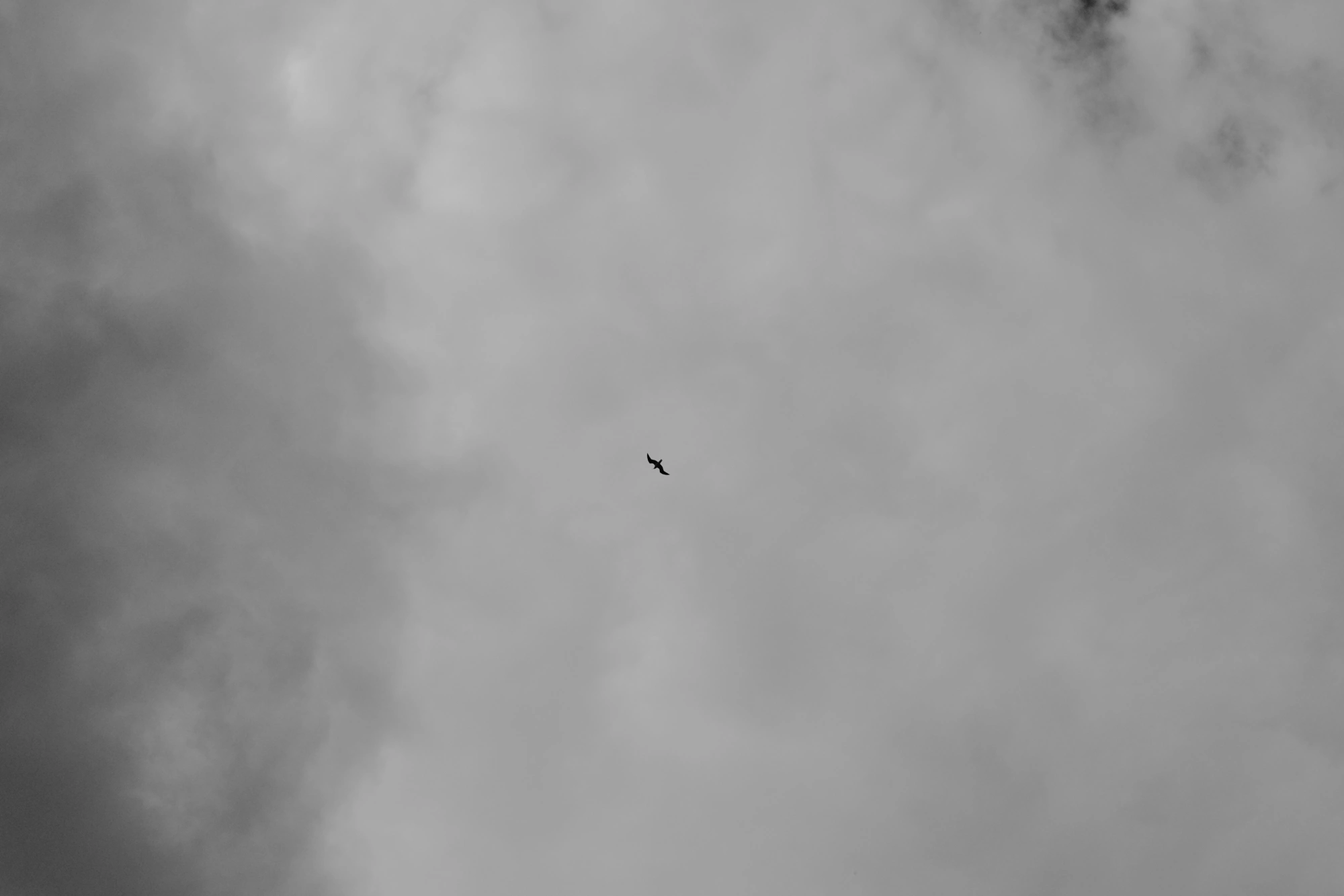 1718691734242_resize.p
