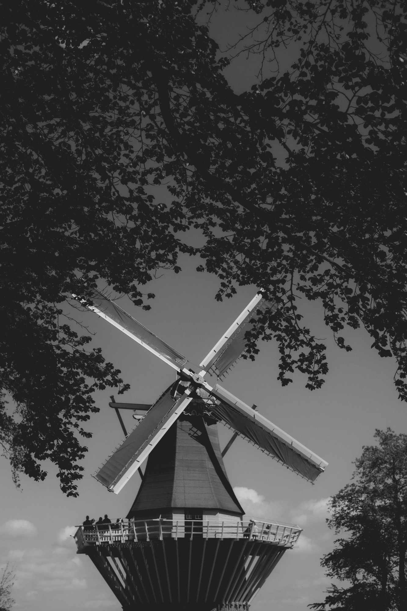 1718691958007_resize.p