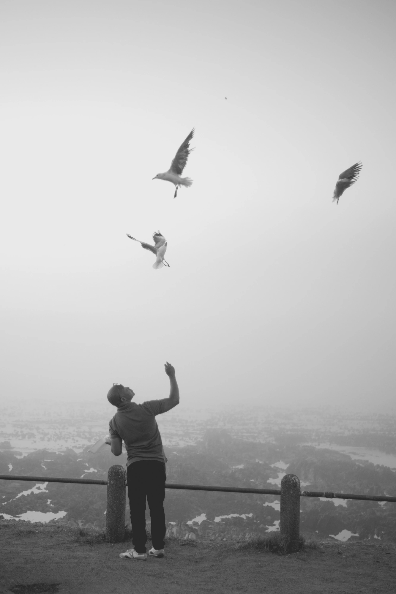 2022-02-15 - Cape Town - Man throws food up at seagulls on a misty day.j